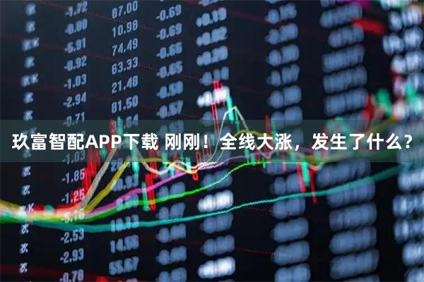 玖富智配APP下载 刚刚！全线大涨，发生了什么？