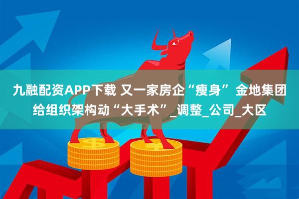 九融配资APP下载 又一家房企“瘦身” 金地集团给组织架构动“大手术”_调整_公司_大区